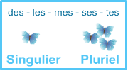 Le pluriel Apprendre à lire, le pluriel