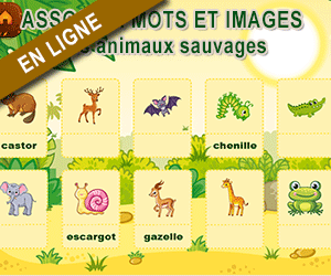Exercice de lecture en ligne, associer mots et images, les animaux sauvages