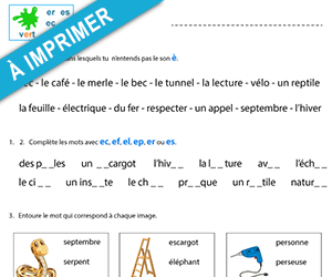 Exercices à imprimer, le son ion
