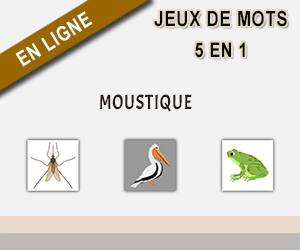 Jeux de mots en ligne pour enfants de CP, CE1