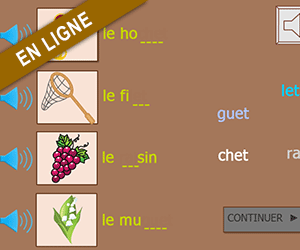 Exercice en ligne ; replacer les syllabes dans les mots