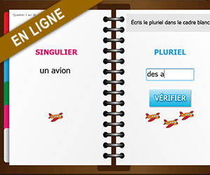 Ecrire les pluriel des mots