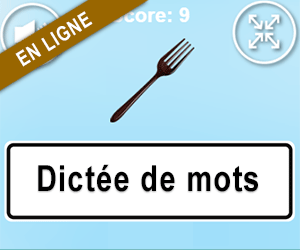 Dictée de mots en ligne, les sons elle, enne, erre, esse, ette