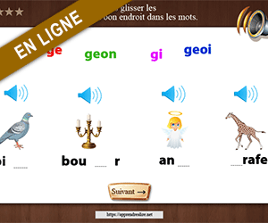 Replacer les syllabes ge, gi, gea, geo, geoi et geon dans les mots