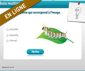 Lecture,ill ; le bon mot