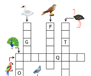 Mots fléchés simples à imprimer, les oiseaux
