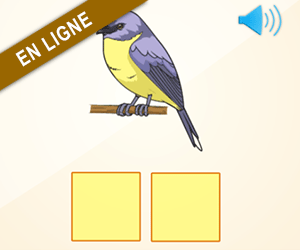 Lecture, le son oi dans une syllabe