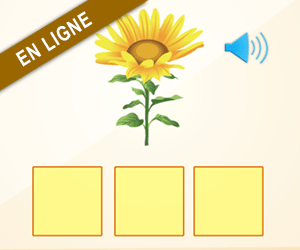 Lecture, le son ou dans une syllabe