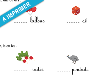 Exercices à imprimer, pluriel au CP