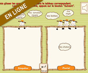 Exercices en ligne, singulier et pluriel