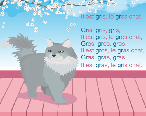 Comptine, il est gris le gros chat
